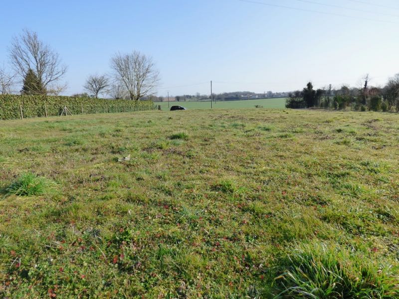 Building plot of 890m2