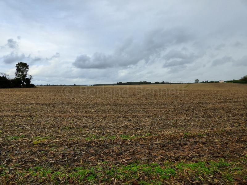 Terrain à bâtir