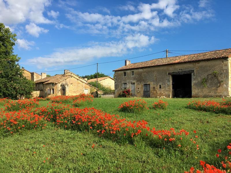 Stone houses with outbuildings to renovate