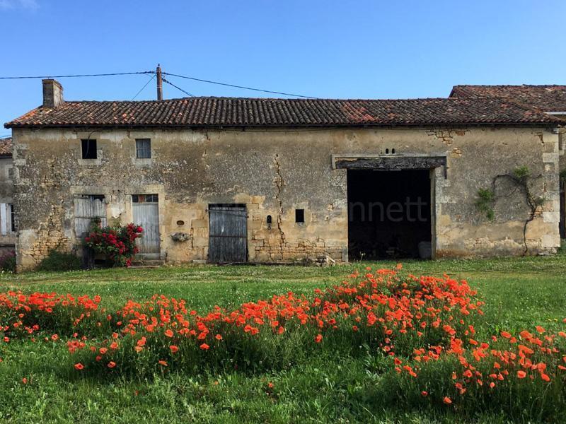 Ensemble de maisons en pierre à rénover