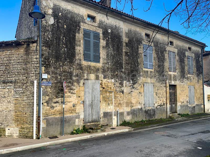 Grande maison à rénover avec jardin