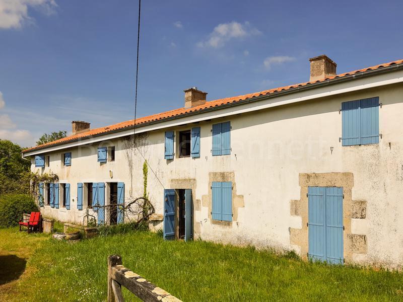 Charmante maison en pierres avec grand terrain
