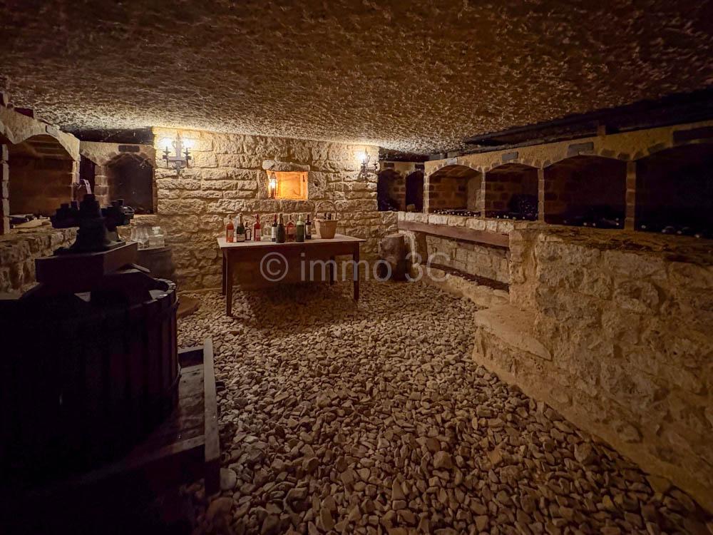 Belle maison de maître avec grand terrain