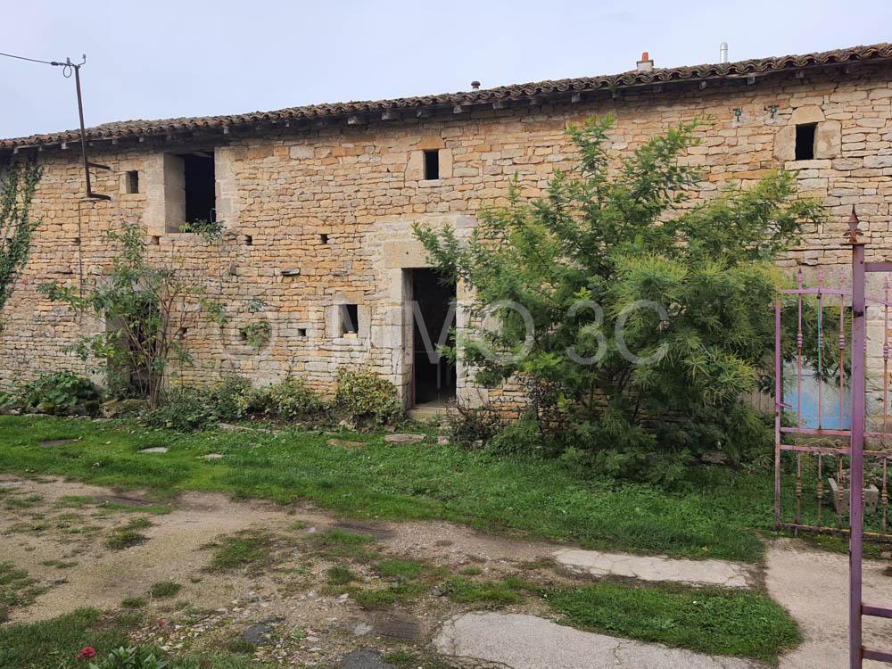 Grande maison rénovée avec dépendances et terrain