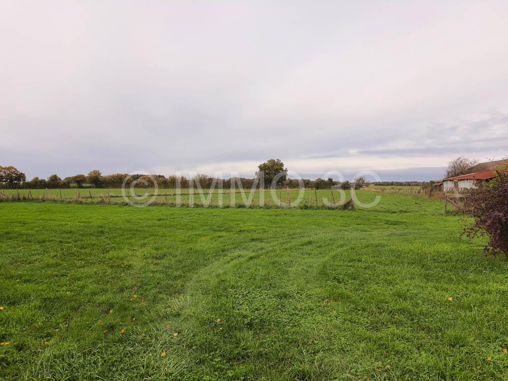 Grande maison rénovée avec dépendances et terrain