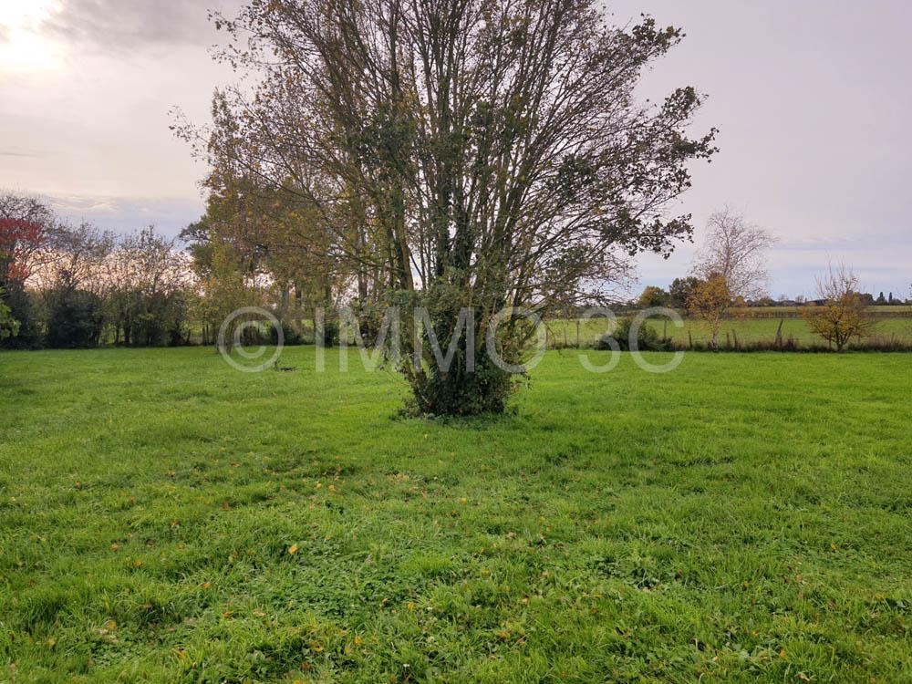 Grande maison rénovée avec dépendances et terrain
