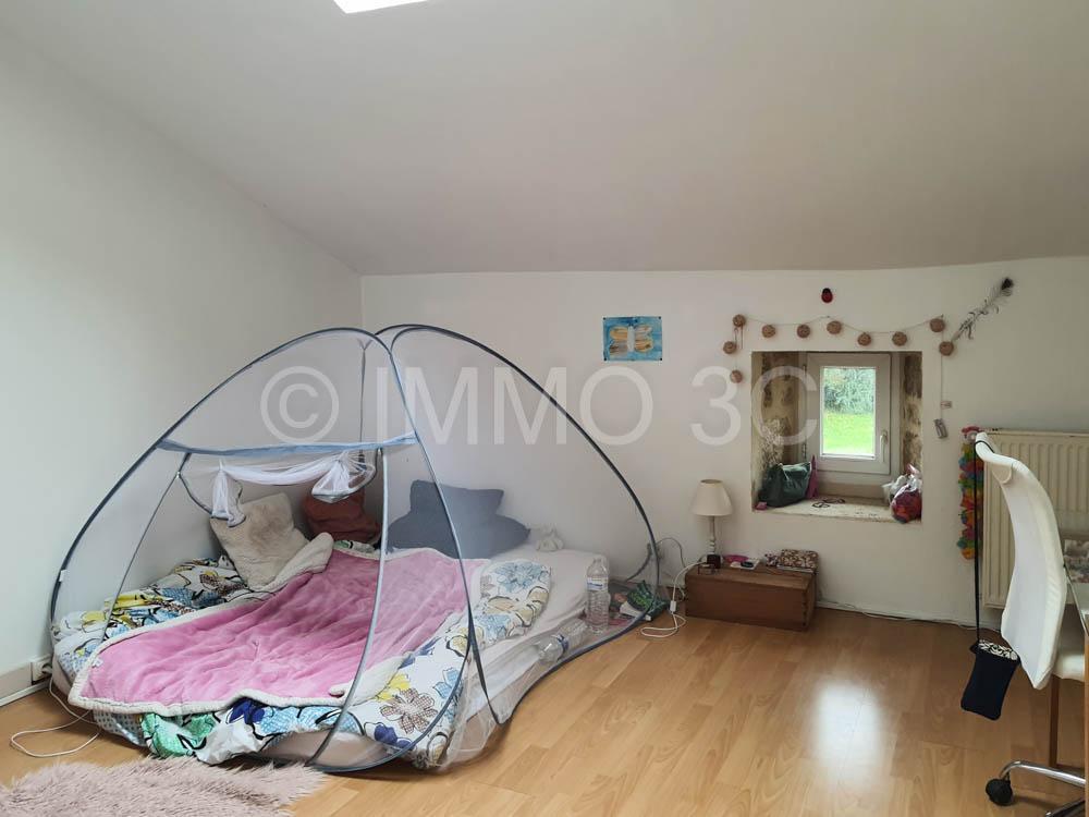 Grande maison rénovée avec dépendances et terrain