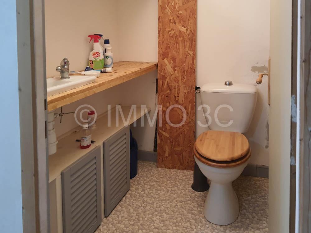 Grande maison rénovée avec dépendances et terrain