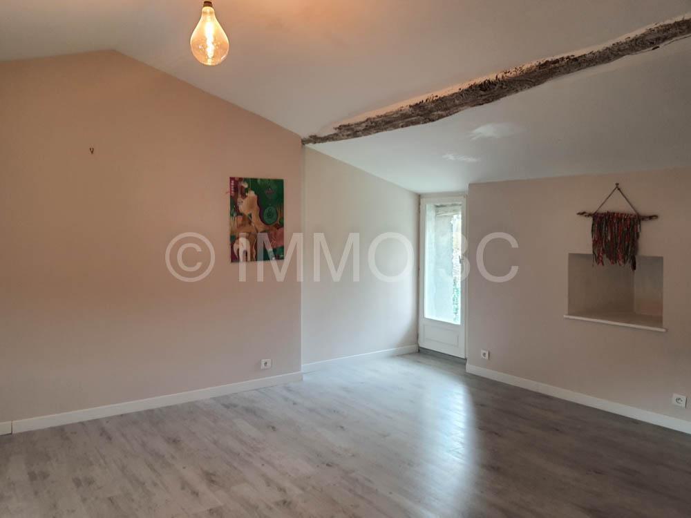 Grande maison rénovée avec dépendances et terrain